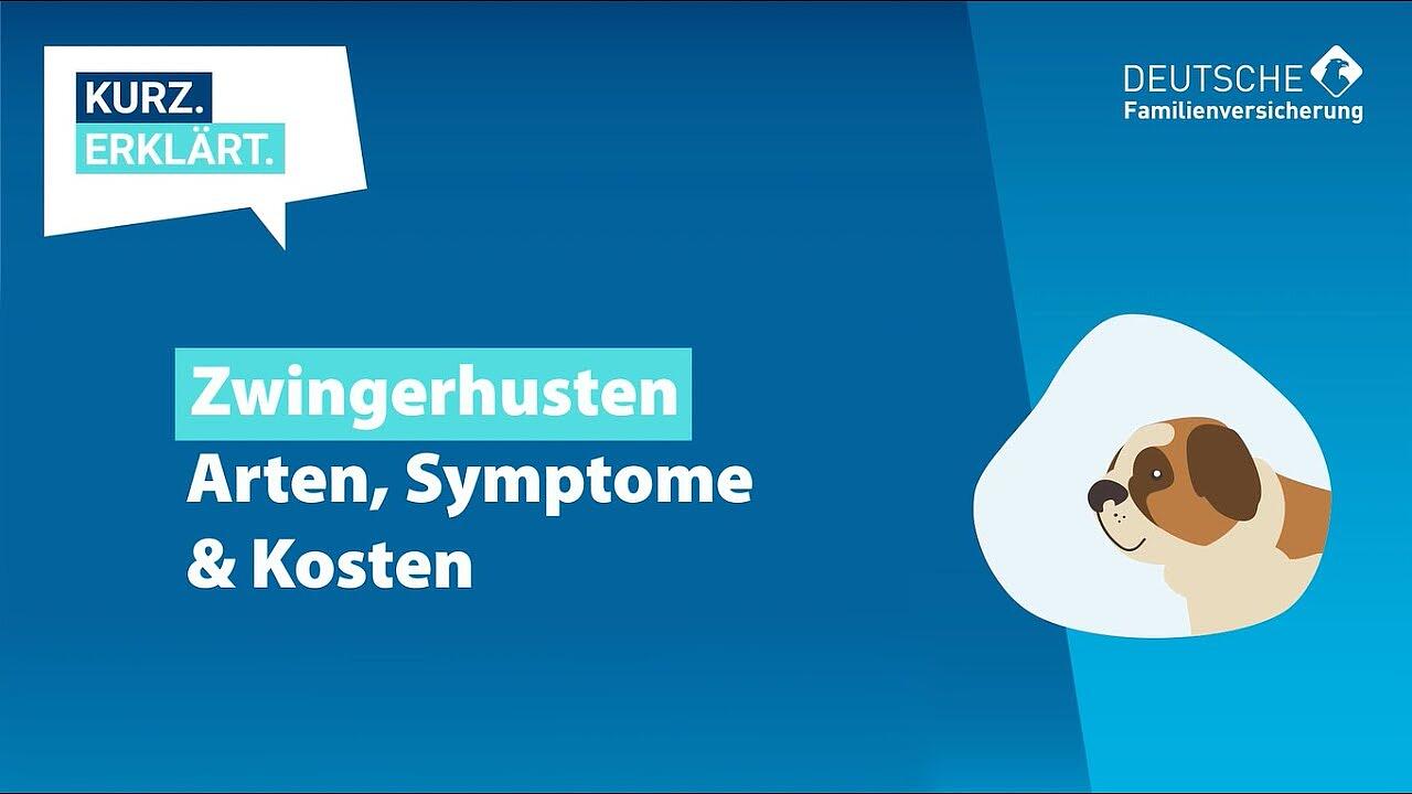 Zwingerhusten - Ursachen und Behandlung | DFV Tierkrankenschutz | Ratgeber Hund und Katze #19
