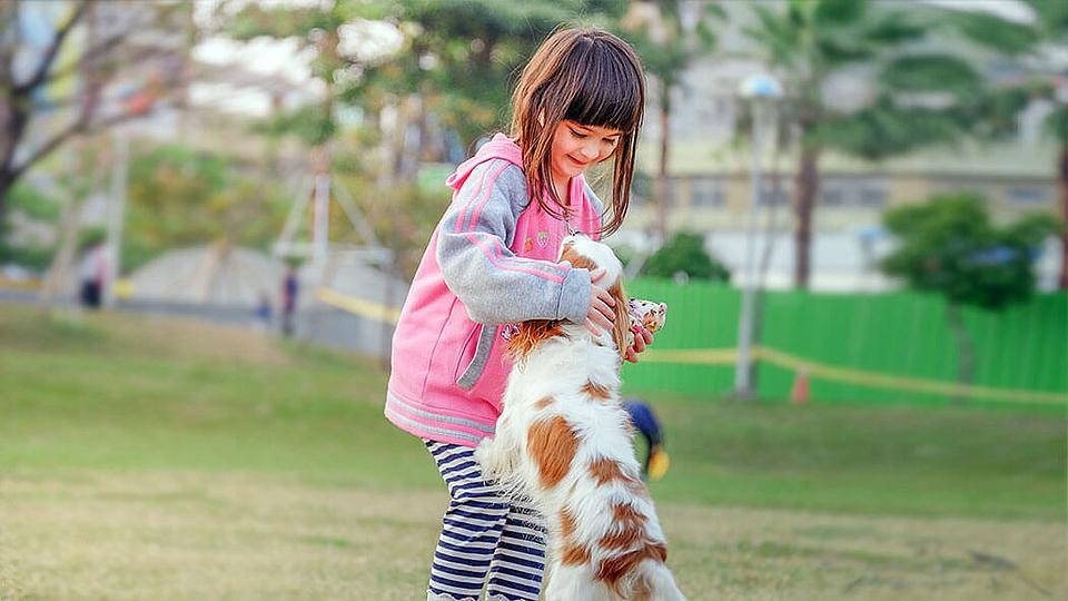 Hunde psychische Entwicklung Kinder Hunde psychische Entwicklung Kinder