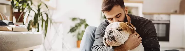 Hunde OP Versicherung