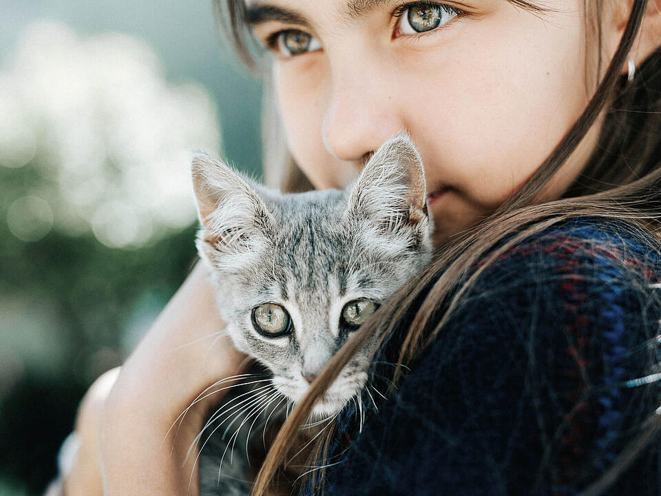 Kind mit grauer Katze