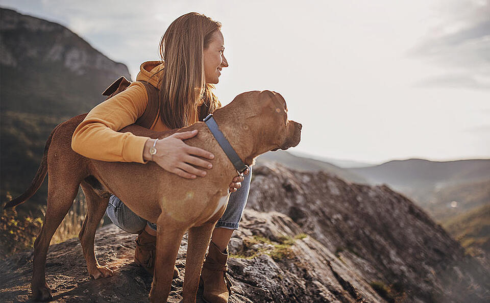 Urlaub mit Hund