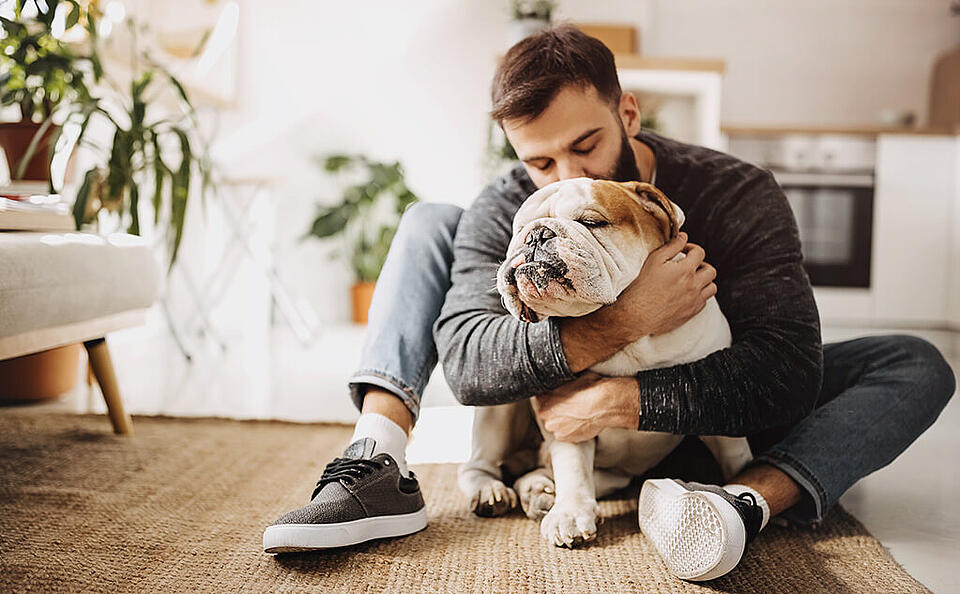 Hunde OP Versicherung Hunde OP Versicherung
