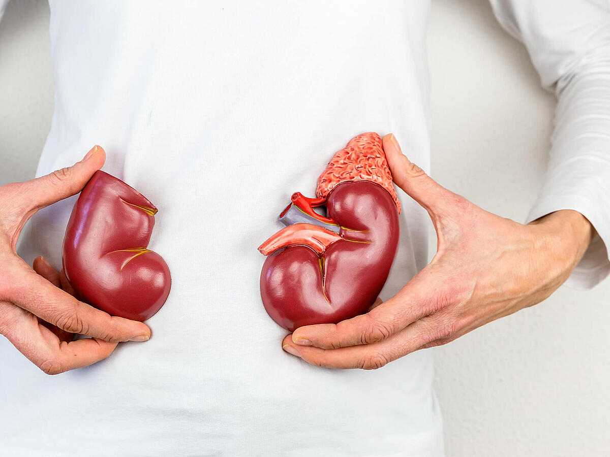 Nierensteine: Ursachen, Symptome, Behandlung