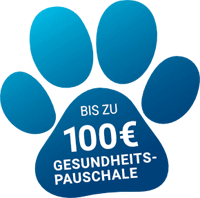 100 € Gesundheitspauschale im Jahr 100 € Gesundheitspauschale im Jahr