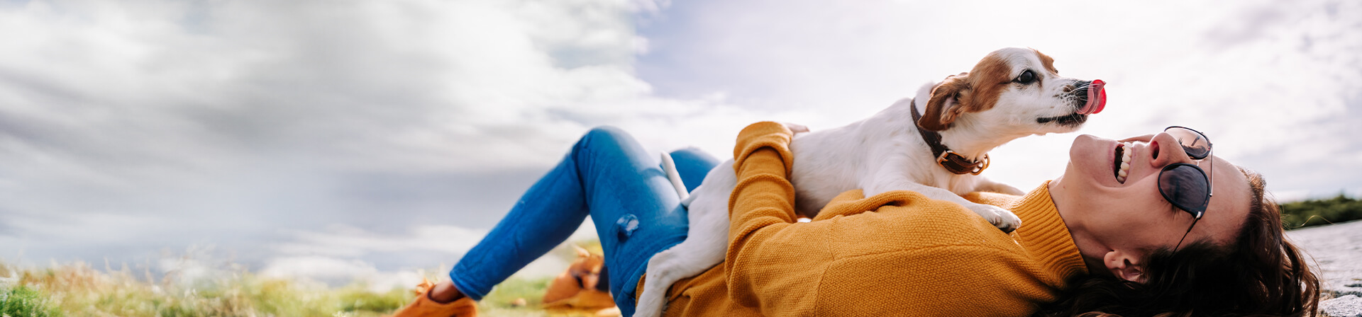 Eine Frau liegt mit einem Retriever auf dem Boden und lacht. Eine Frau liegt mit einem Retriever auf dem Boden und lacht.