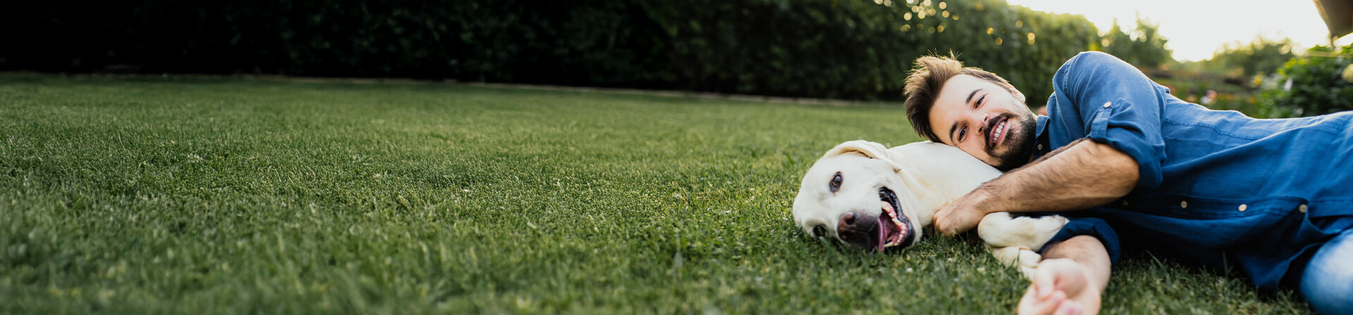 Ein Mann liegt mit einem Labrador im Gras. Ein Mann liegt mit einem Labrador im Gras.