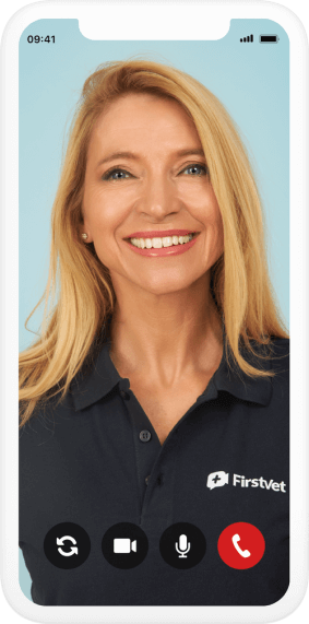 FirstVet App FirstVet App