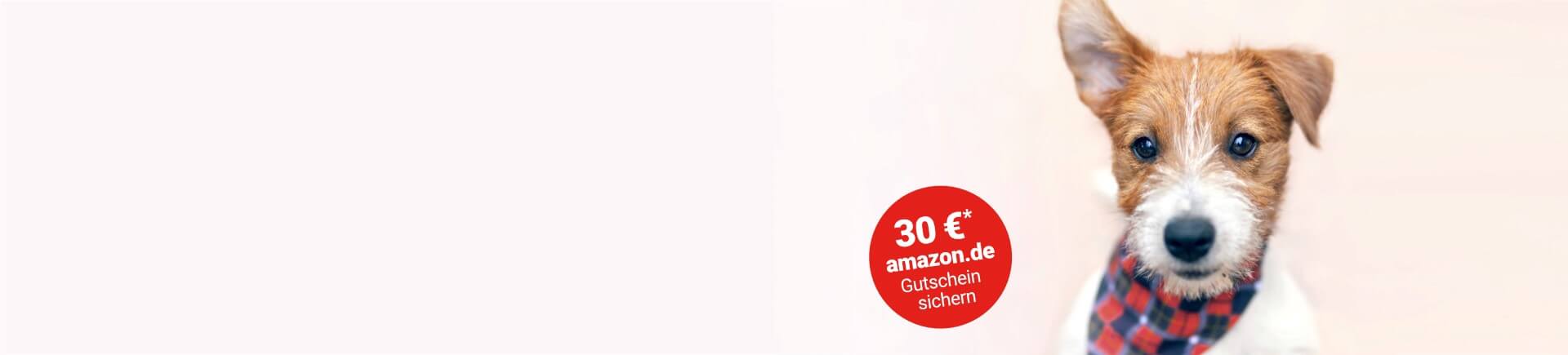 Hundekrankenversicherung Hundekrankenversicherung