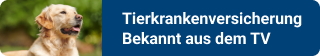 DFV-TierkrankenSchutz