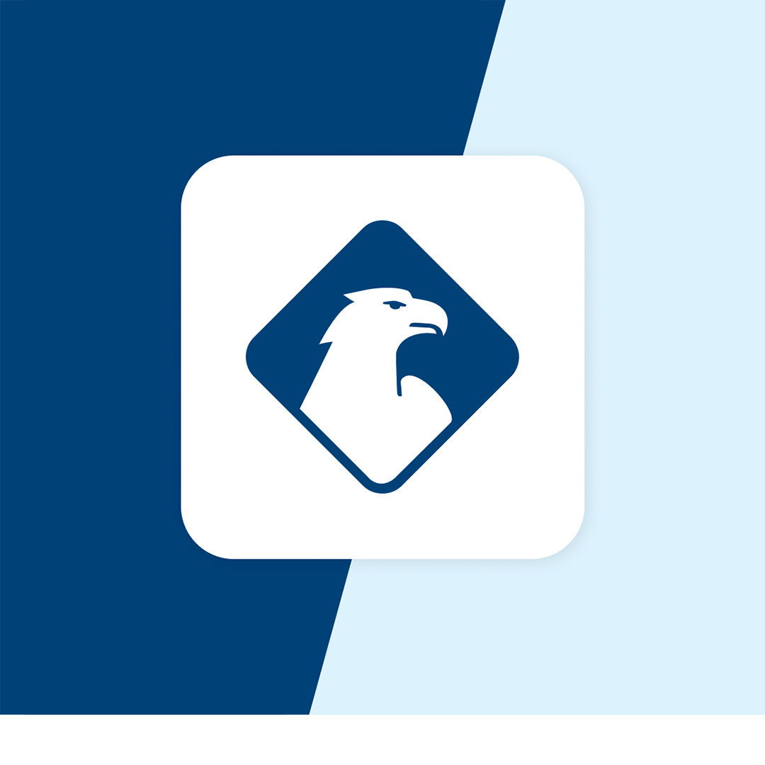 DFV-UnfallSchutz App