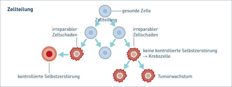 Entstehung von Krebs