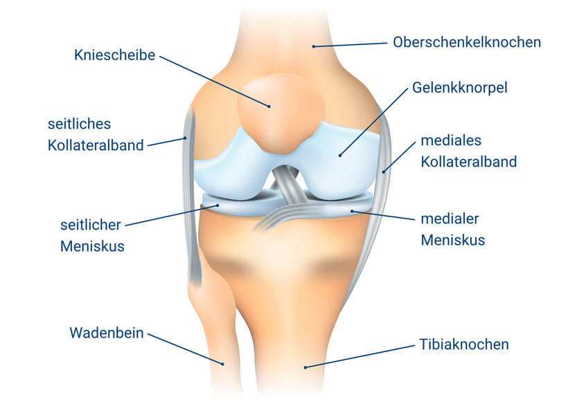 Kniescheibe knieschmerzen innen neben Knieschmerzen: Symptome,