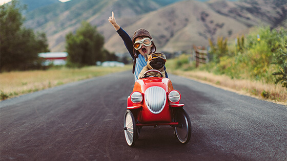 DFV-VerkehrsrechtsSchutz