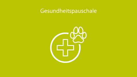 Gesundheitspauschale für Ihren Hund 