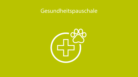 Gesundheitspauschale für Ihre Katze Gesundheitspauschale für Ihre Katze