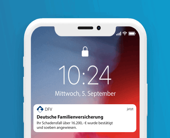 DFV-Haftpflichtschutz Animation DFV-Haftpflichtschutz Animation