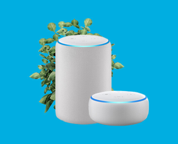 DFV-Alexa DFV-Alexa