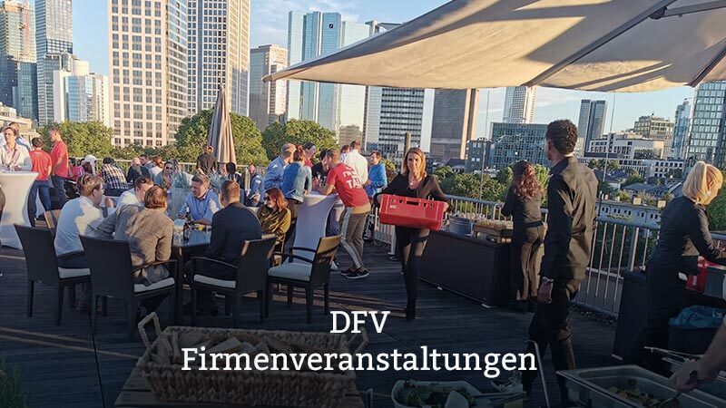 DFV Visual