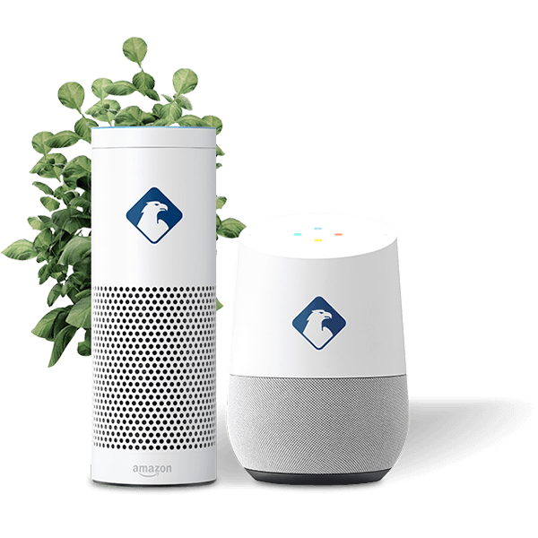 AMazon Echo und Google Home